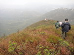 開始轉左落山往青山腹地去
DSC06541