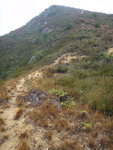 回望落山路
DSC06549