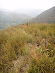 DSC06550