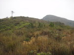 DSC06552