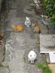 DSC07668