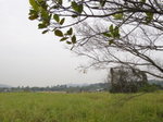 DSC07678