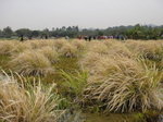 DSC07685
