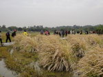 DSC07687