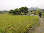 塱原濕地內的私人農地
DSC07691