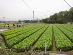 DSC07699