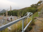 DSC07753