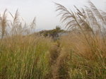 DSC07762