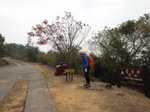 至分岔路, 若右去會到掘頭路接小徑回落海邊. 轉左仍是鳳徑9段
DSC08717