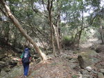 DSC09294