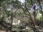 DSC09295