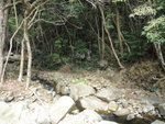 DSC09303