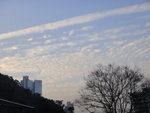 DSC09510
