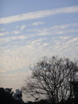 DSC09511