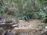 至平緩地帶一石壆便轉右
DSC09590