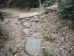 DSC09603