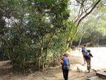 續走麥徑4段, 茅坪坳空地亦是五聯達學校遺址
DSC09826