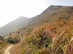 水牛山(前)及黃牛山(後)
DSC09836