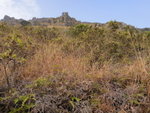 長城古道中往右上望黃牛石城
DSC09840