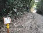 DSC09850