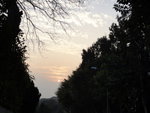 DSC09872