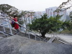 接清水灣道落山, 中途有隊友離隊回家, 下次見啦, 新年快樂!
DSC09875