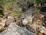 DSC00079