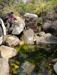 蜂巢就在此潭旁, 一定要蜂巢個邊過, 好彩家陣無蜂, 唔係就煩
DSC00083