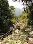 回望來路
DSC00112