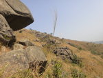 DSC00164
