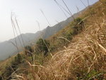 右望見茶壺咀
DSC00165