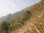 茶壺咀
DSC00166