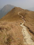 接鳳徑3段轉左上山, 回頭望又見大東山
DSC00174