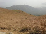 回望離澗上接鳳徑的草坡
DSC00176