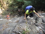 壁頂下望, 唔上壁可以壁右山路上
DSC00317