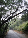 DSC00603
