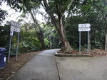 又分岔位, 左通碼頭, 大隊轉右往石散頭村去
DSC00613