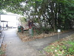DSC00618