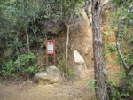 經右邊一上吊手岩脊的山路
DSC01459