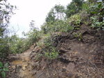 沿雁谷迷徑行至一脊路, 右上可接黃金壁脊, 大隊轉左落山
DSC01602