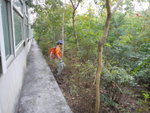 中途轉右入林
DSC01620