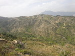 山下為老虎坑澗谷, 遠處為青山
DSC01956