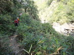 山路與山路旁的丹桂坑
DSC02152