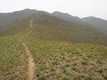 接山脊路轉左沿山路前行落山, 背後是雞公嶺
DSC03205