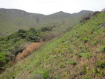 踏草坡離澗上山, 大江埔坑在左
DSC03294