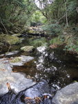 DSC03464