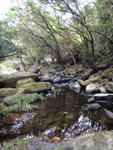 涌尾石澗算平緩, 只是若潮濕或下雨天會好跣
DSC03466