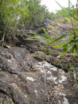 DSC03632