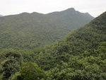 上溯橫涌石澗右支途中遙望馬頭峰
DSC03634