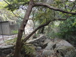 見到建築物啦
DSC03820
